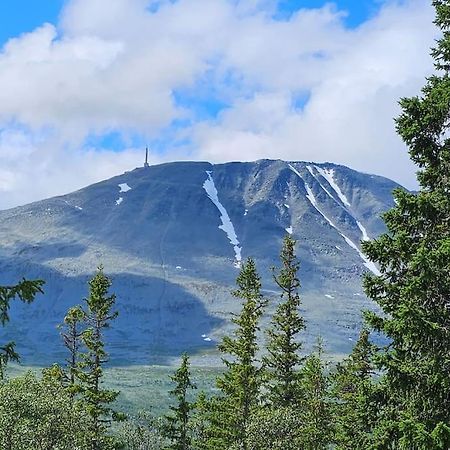 Ny Leilighet Med Flott Utsikt Til Gaustatoppen ريوكان المظهر الخارجي الصورة