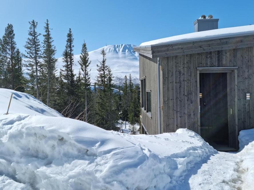 Ny Leilighet Med Flott Utsikt Til Gaustatoppen ريوكان المظهر الخارجي الصورة