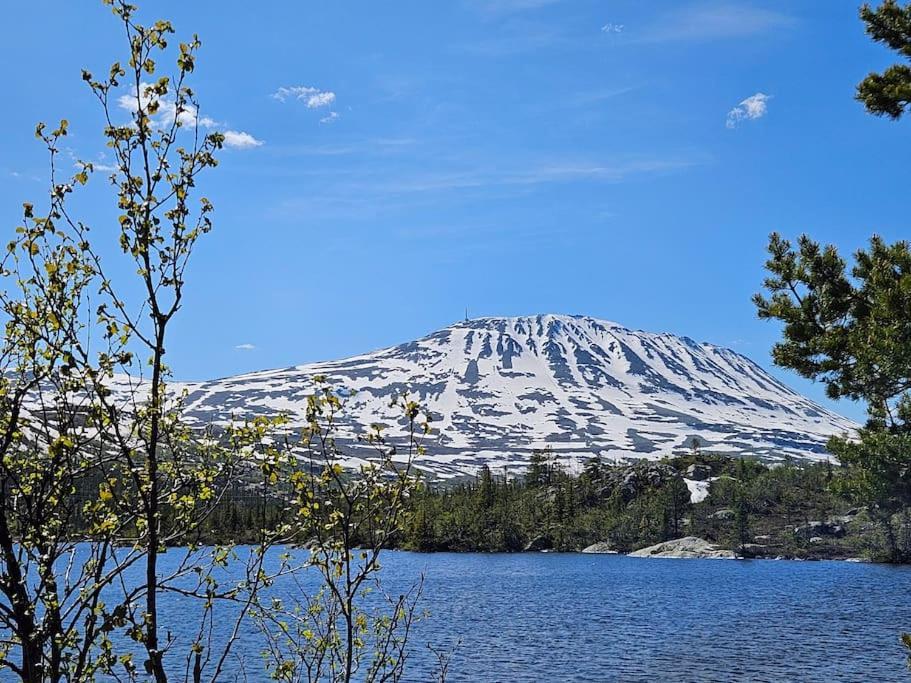 Ny Leilighet Med Flott Utsikt Til Gaustatoppen ريوكان المظهر الخارجي الصورة