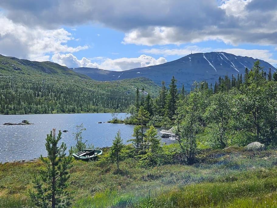 Ny Leilighet Med Flott Utsikt Til Gaustatoppen ريوكان المظهر الخارجي الصورة
