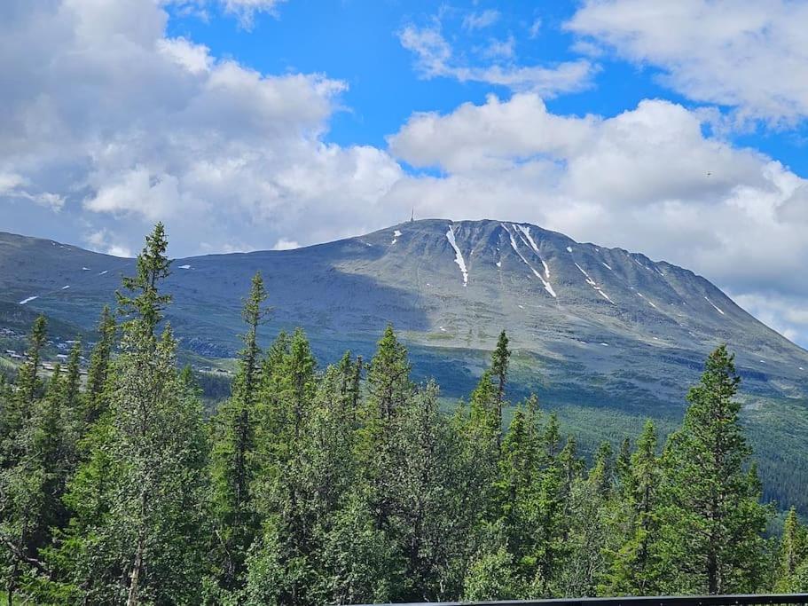 Ny Leilighet Med Flott Utsikt Til Gaustatoppen ريوكان المظهر الخارجي الصورة