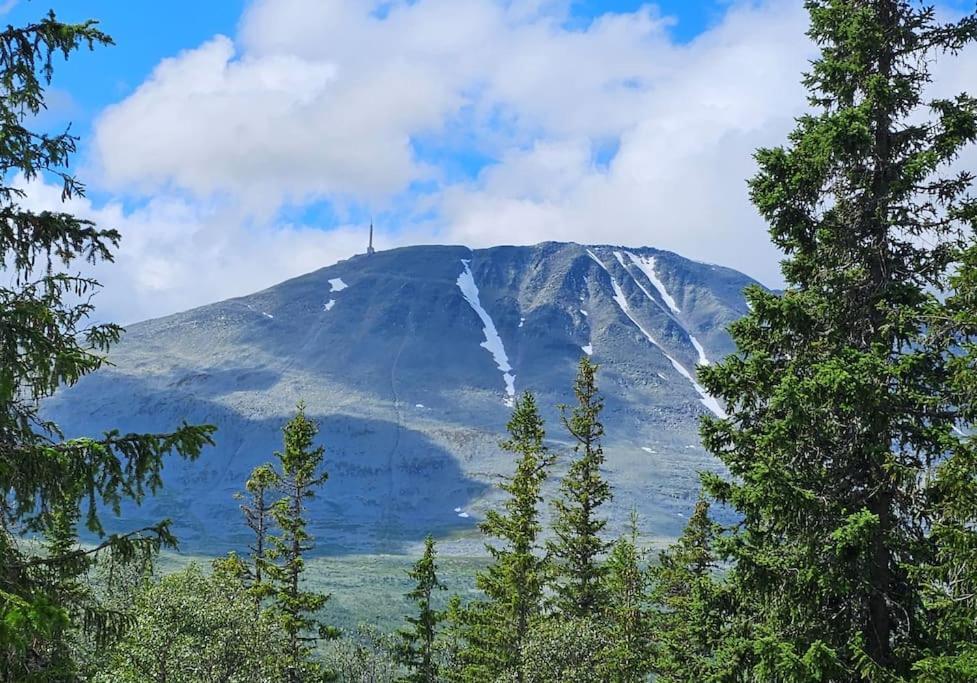 Ny Leilighet Med Flott Utsikt Til Gaustatoppen ريوكان المظهر الخارجي الصورة