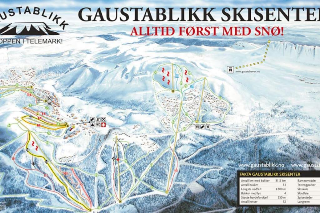 Ny Leilighet Med Flott Utsikt Til Gaustatoppen ريوكان المظهر الخارجي الصورة